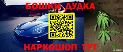 мдпв Мариинск