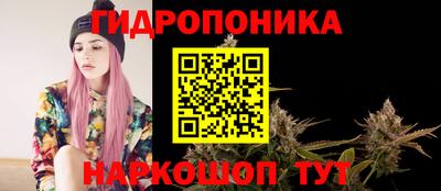 эйфоретик Малгобек