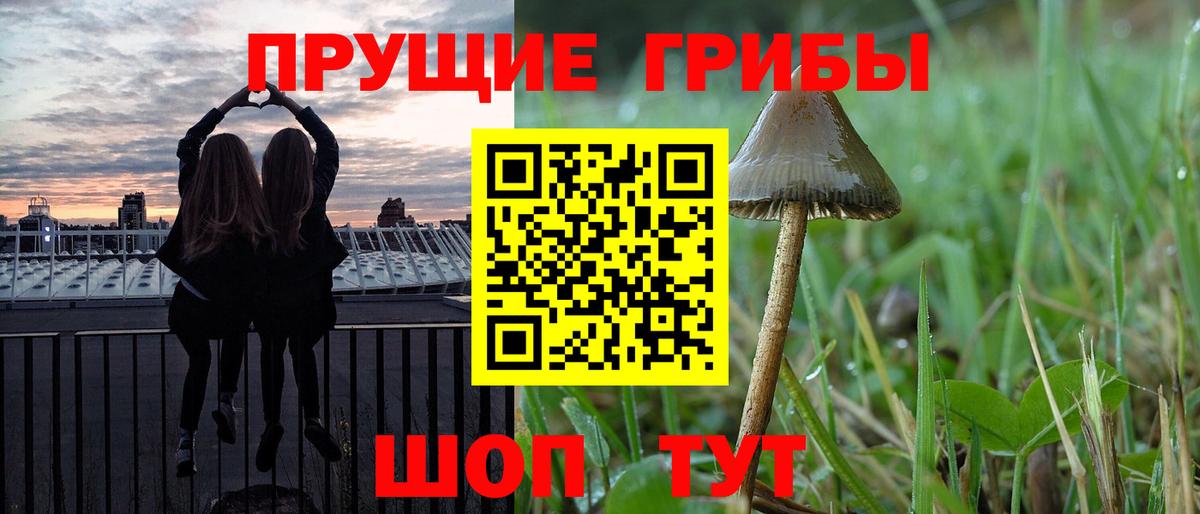 где найти наркотики  Вход с VPN  Тосно  Псилоцибиновые грибы GOLDEN TEACHER 